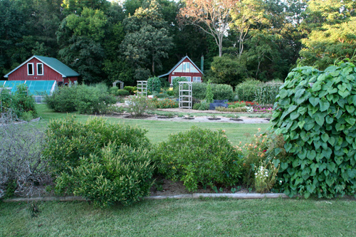 0809_week_51_8d-ly_500