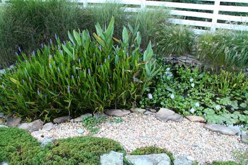 0809_week_51_9d-ly_500