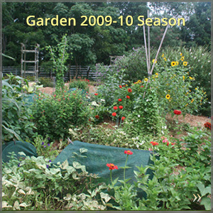 gallery_0910-season_300x300