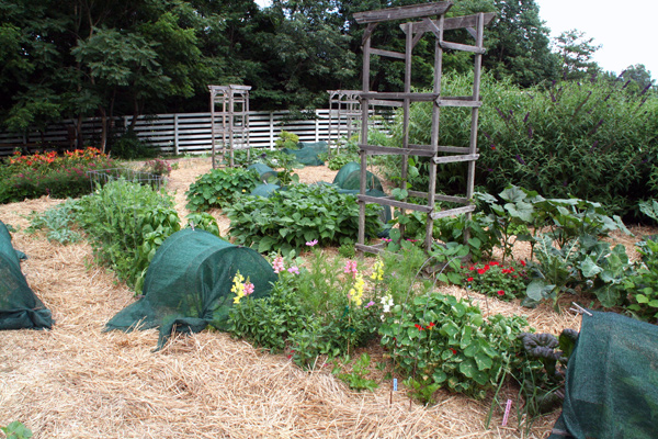 1011_week_41_3c_600_1