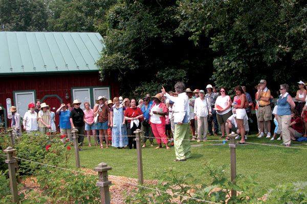 1011_week_52_15b_600