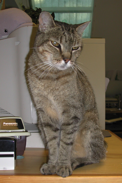 1011_week_52_17a_600