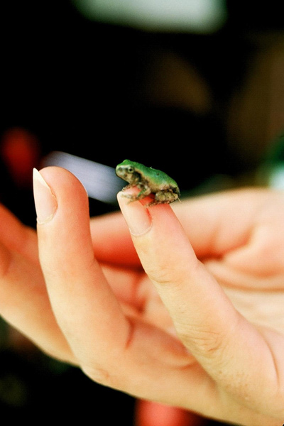 1011_week_52_17c_600