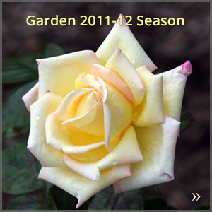 gallery_1112-season_300x300