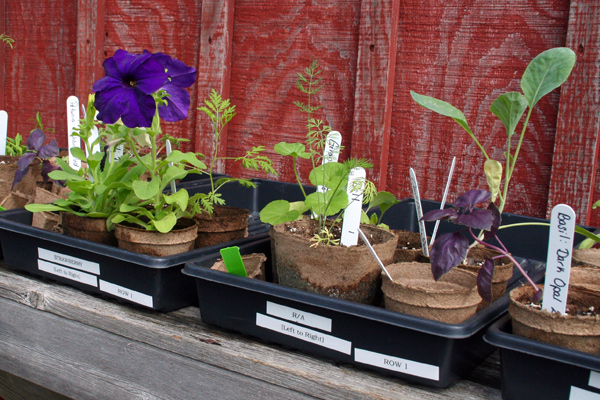 1112_week_27_18b_600