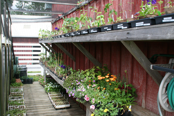 1112_week_27_19a_600