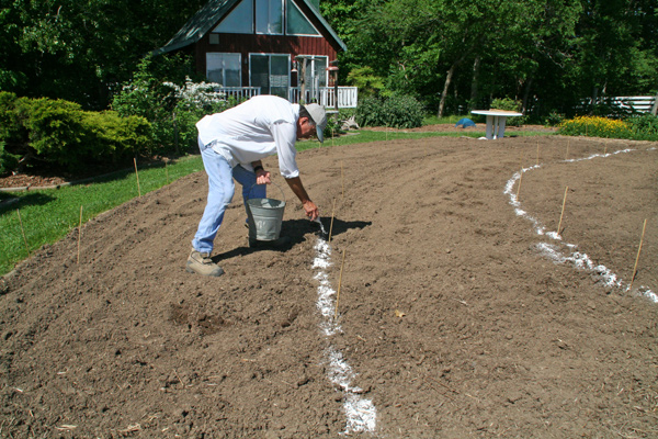 1112_week_27_21b_600