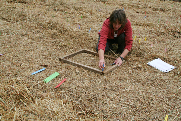 1112_week_27_23b_600