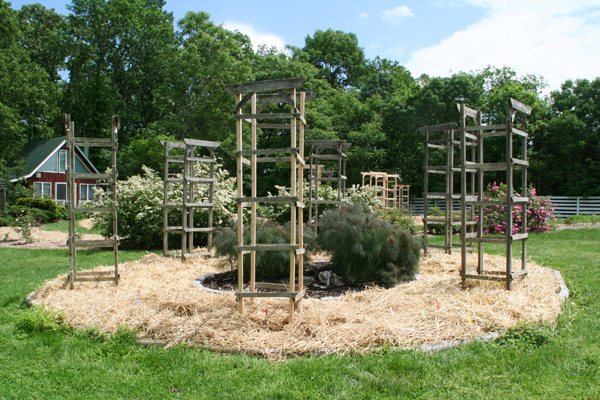 1112_week_27_24b_600