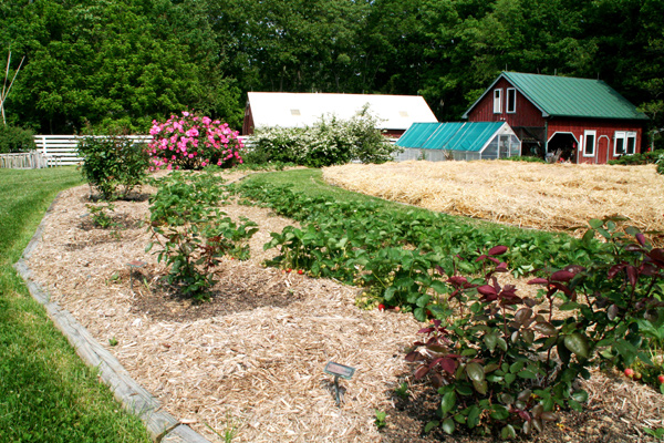 1112_week_27_25a_600