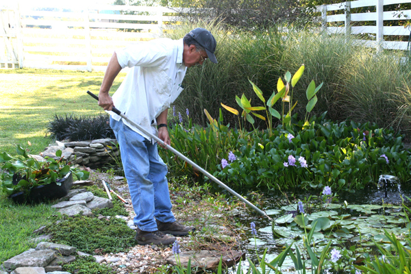 1112_week_52_3a_600_1