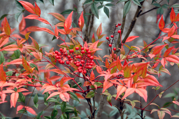 1213_week_9_TPGW_600