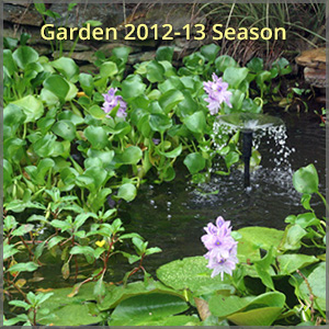 gallery_1213-season_300x300