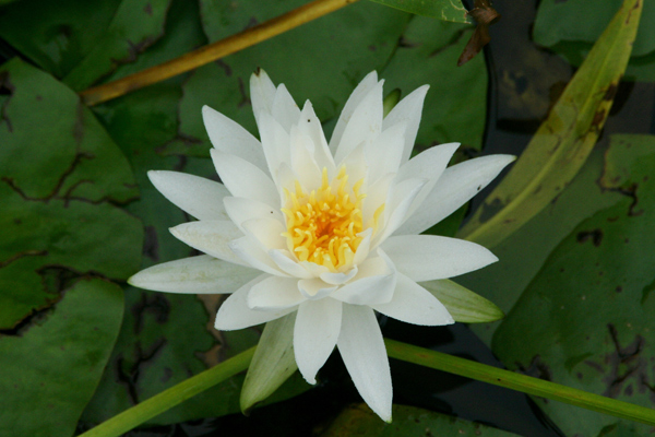 1213_week_41_3b_600_1