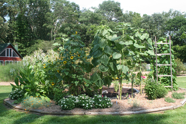 1213_week_45_1c_600_3