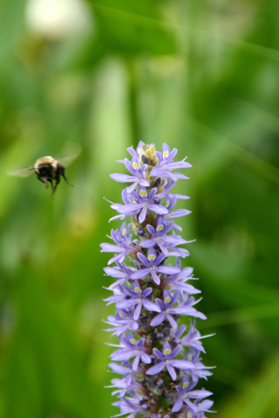 1213_week_46_5c_600_1