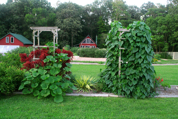 1213_week_51_3c_600_1