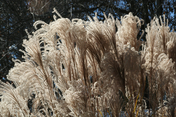 1314_week_9_3b_600_2_