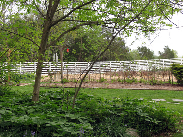 1314_week_34_6b-alt_600