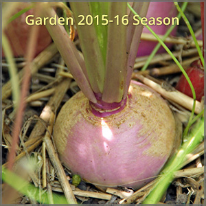 gallery_1516-season_300x300