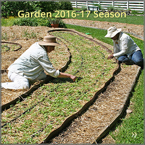 gallery_1617-season_300x300