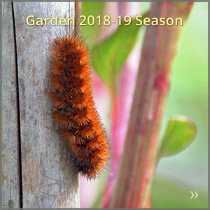 gallery_1819-season_300x300