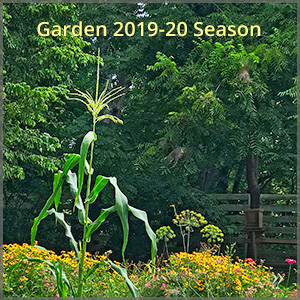 gallery_1920-season_300x300