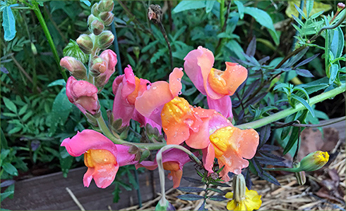 10_hp_Oct20_490x300_m