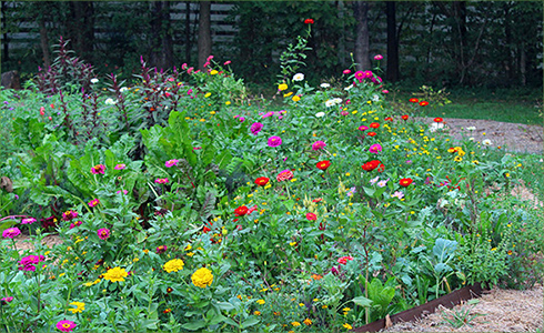 2_hp_Oct20_490x300_c