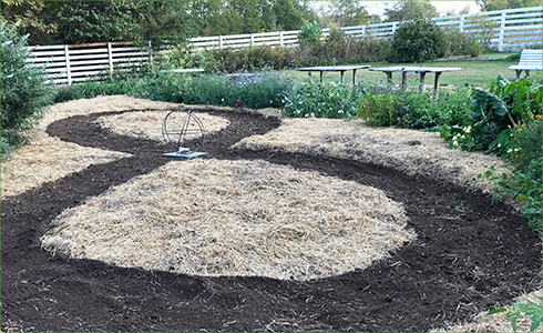 5_hp_Oct20_490x300_g