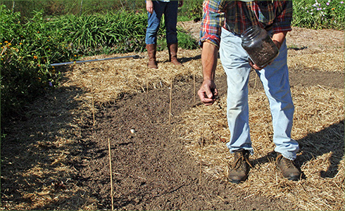 6_hp_Oct20_490x300_n