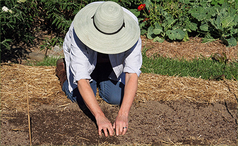 7_hp_Oct20_490x300_o