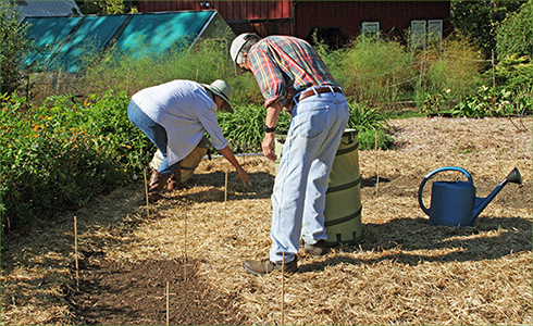 8_hp_Oct20_490x300_q