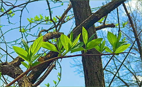 _hp_Apr21_490x300_zf_1_