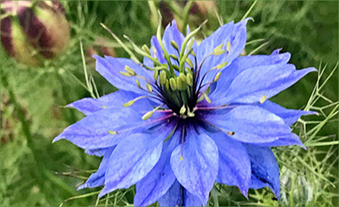 _hp_Jun21_490x300_za