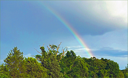 _hp_Jun21_490x300_zh