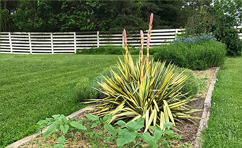 _hp_Jun21_490x300_zl