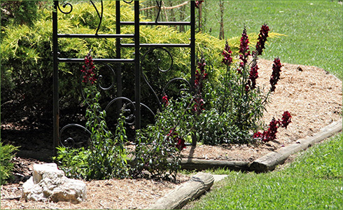 _hp_Jun21_490x300_zo