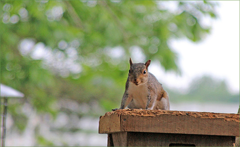 _hp_May21_490x300_zf