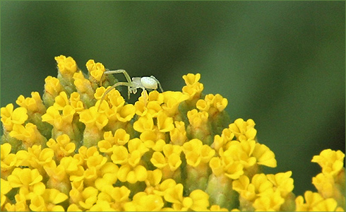 _hp_May21_490x300_zk