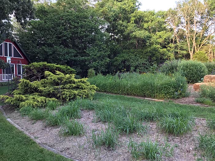 solstice_23_Jun21_700