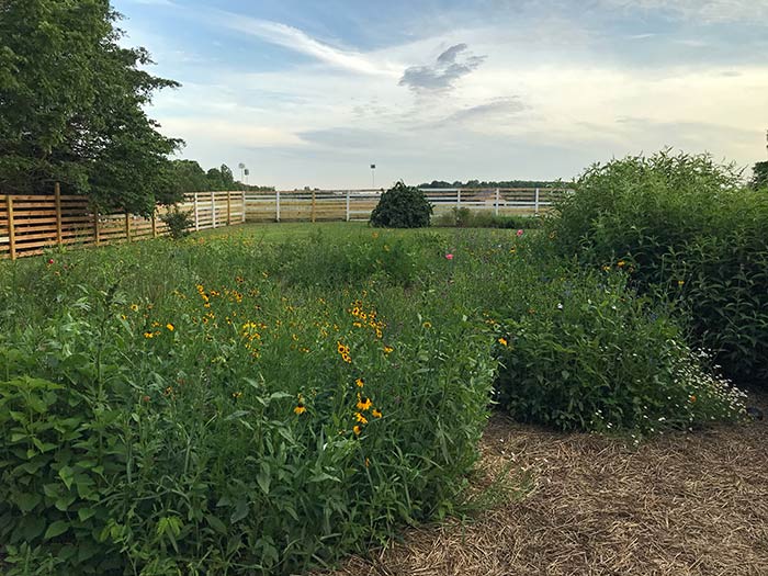 solstice_26_Jun21_700