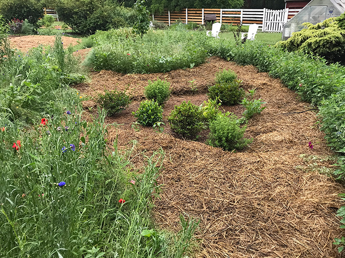 solstice_33_Jun21_700