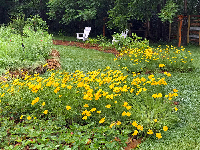 solstice_4_Jun21_700