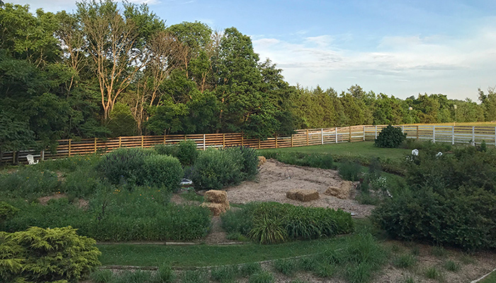 solstice_abv4_Jun21_700