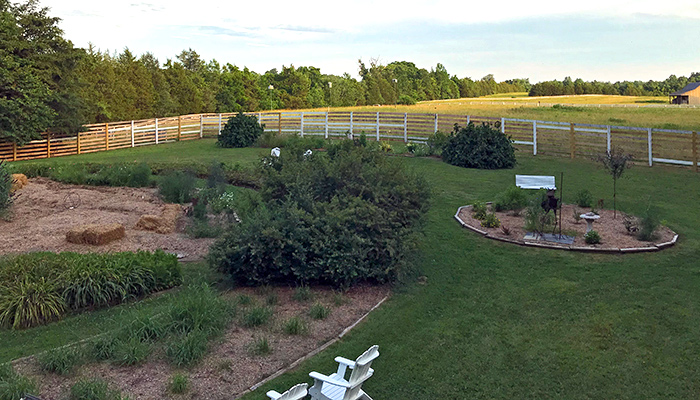 solstice_abv5_Jun21_700