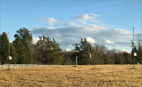 11_hp_Feb21_490x300_o