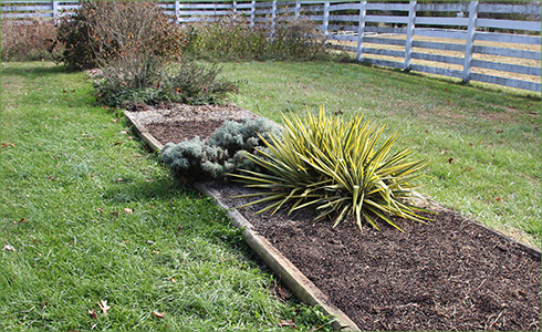 11_hp_Nov20_490x300_r