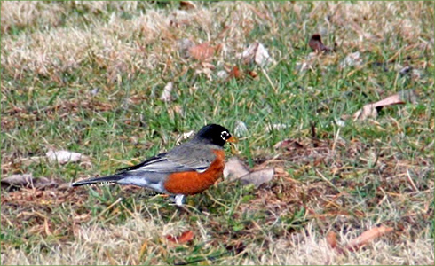 12_hp_Feb21_490x300_i