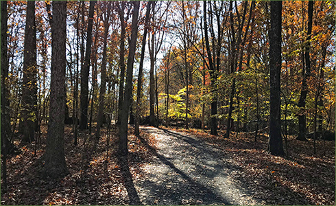 13_hp_Nov20_490x300_a